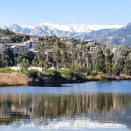 Vue Mer Et Port De Solenzara * Sari-Solenzara