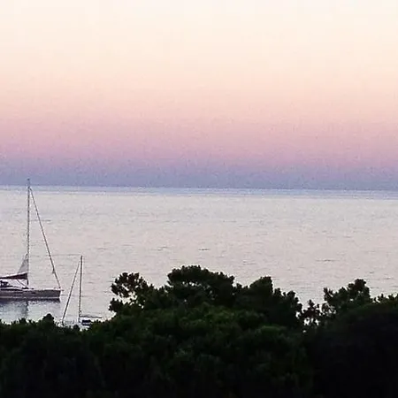 Vue Mer Et Port De Solenzara Appartement